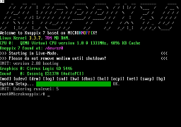 [knoppix booting]