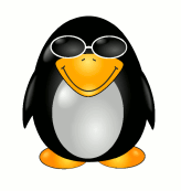 [Pinguin mit Sonnenbrille]